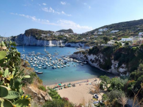 Ponza Holiday Homes - Cala Feola Ponza